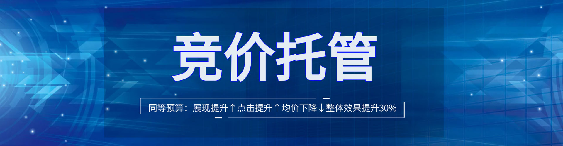卢龙竞价托管